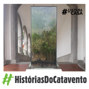 Terrário gigante