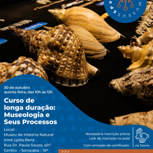 Imagem de conchas no fundo preto e a frente uma onda azul com letras brancas
