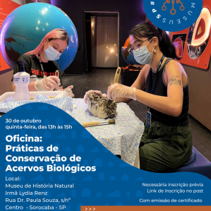 Uma mulher de máscara e óculos limpando um acervo em uma mesa, ao fundo vemos o globo terrestre e na frente uma onda azul com letras brancas